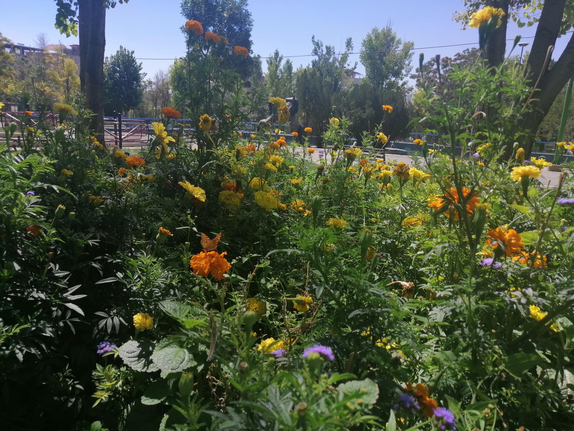 عکس پارک تهلیجان