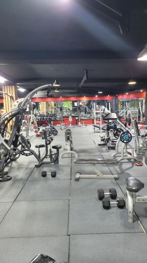 عکس باشگاه اریوفیت