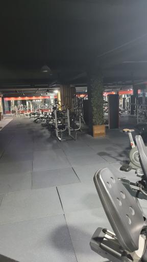 عکس باشگاه اریوفیت