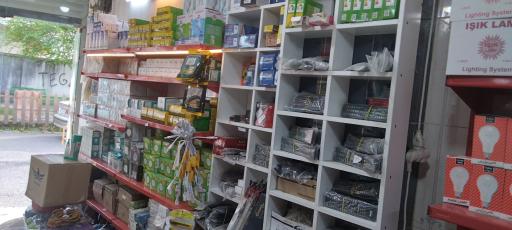 عکس الکتریکی آرین 