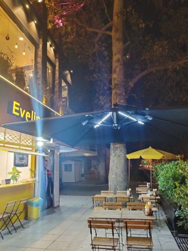 عکس فست فود اِوِلین