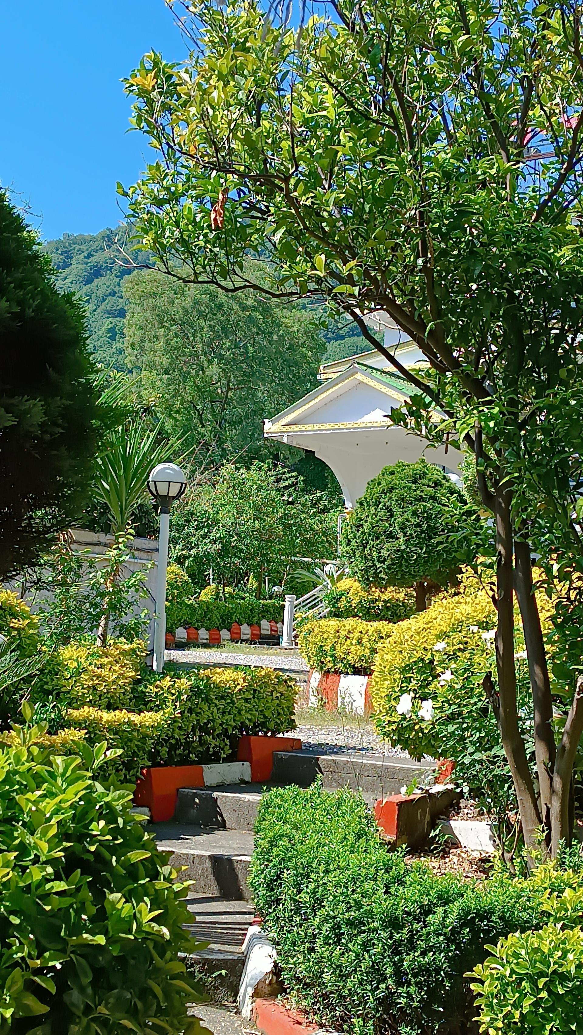 عکس هتل نازیا