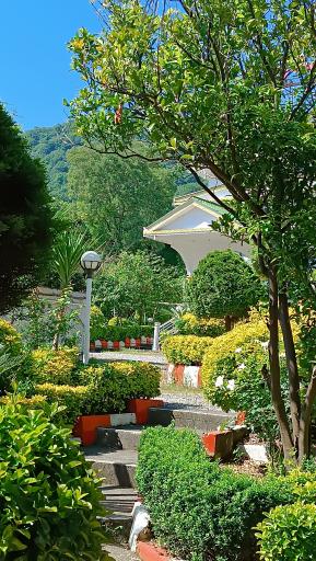 عکس هتل نازیا