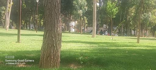 عکس پارک تهلیجان