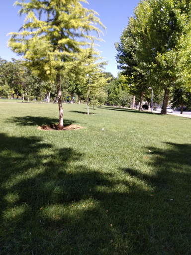 عکس پارک تهلیجان