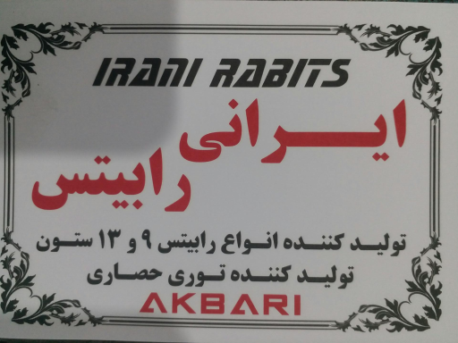عکس ایرانی رابیتس اکبری 
