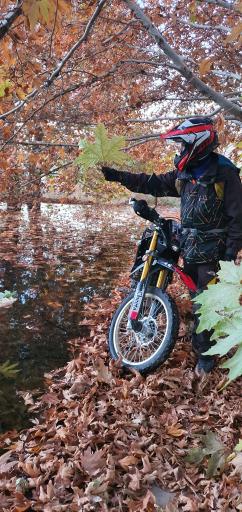 عکس استخر سرهنگ