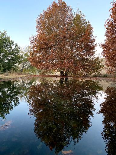 عکس استخر سرهنگ