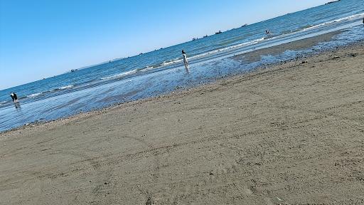 پارک ساحلی سورو