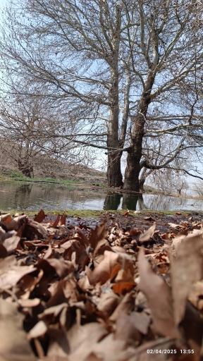 استخر سرهنگ