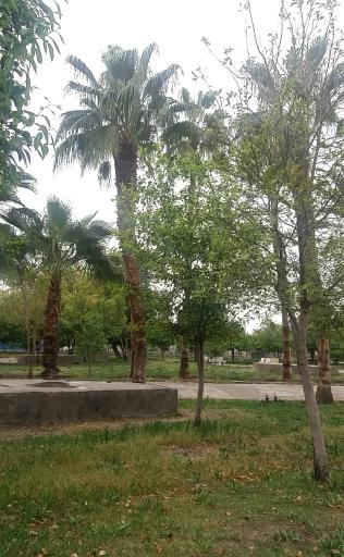 عکس پارک ولیعصر