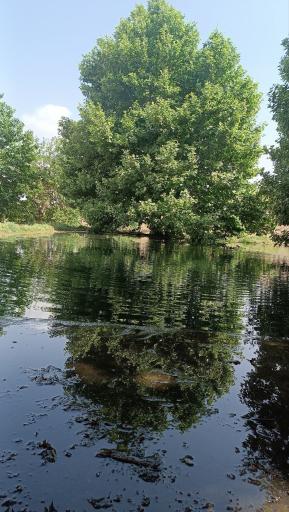 استخر سرهنگ