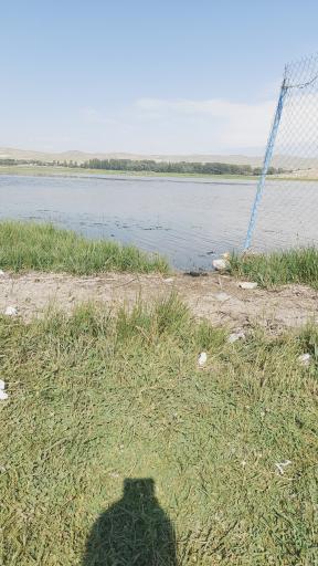 عکس تالاب قوری گل