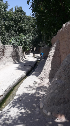 عکس دانسفهان