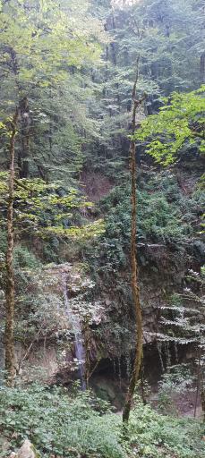 عکس دانسفهان