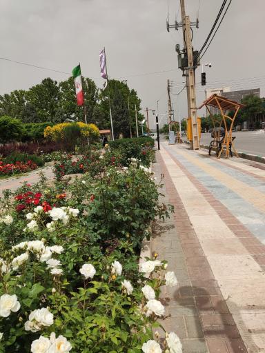 عکس دانسفهان