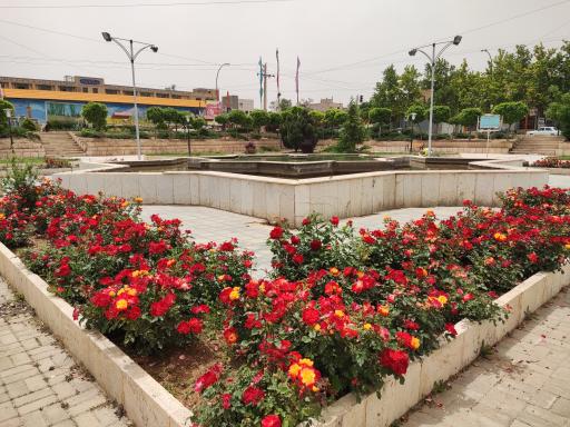 عکس دانسفهان