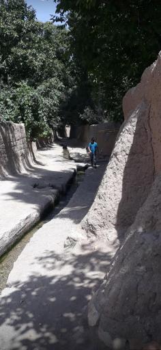 عکس دانسفهان