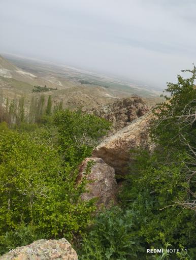 عکس دانسفهان