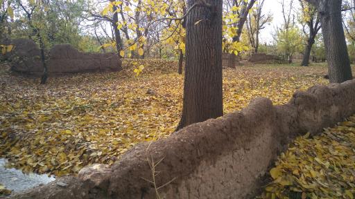 عکس دانسفهان