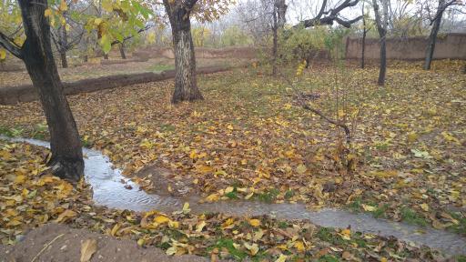 عکس دانسفهان