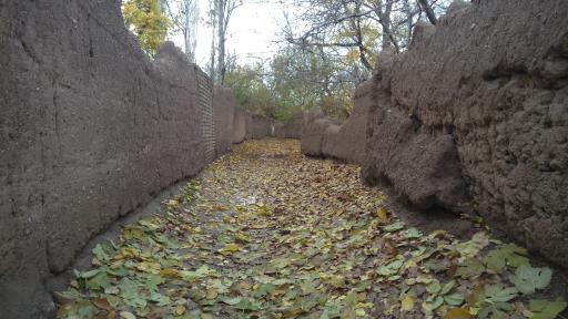 عکس دانسفهان