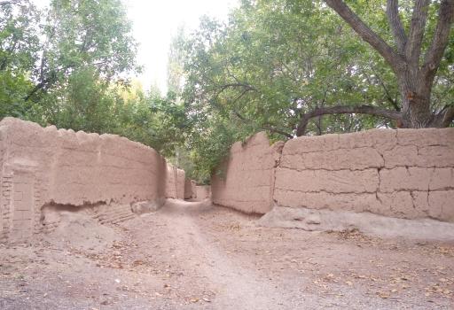 عکس دانسفهان