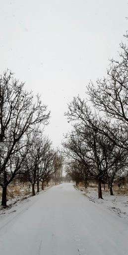 عکس دانسفهان