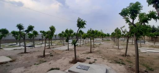 عکس دانسفهان