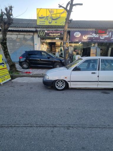 عکس گیل اسپرت