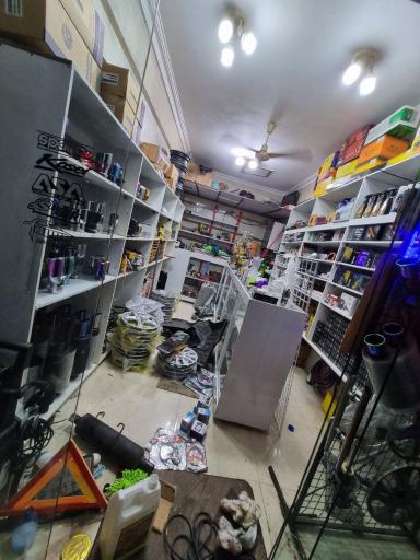 عکس گیل اسپرت