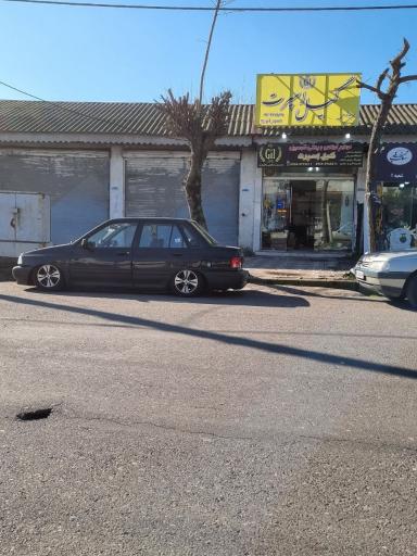 عکس گیل اسپرت