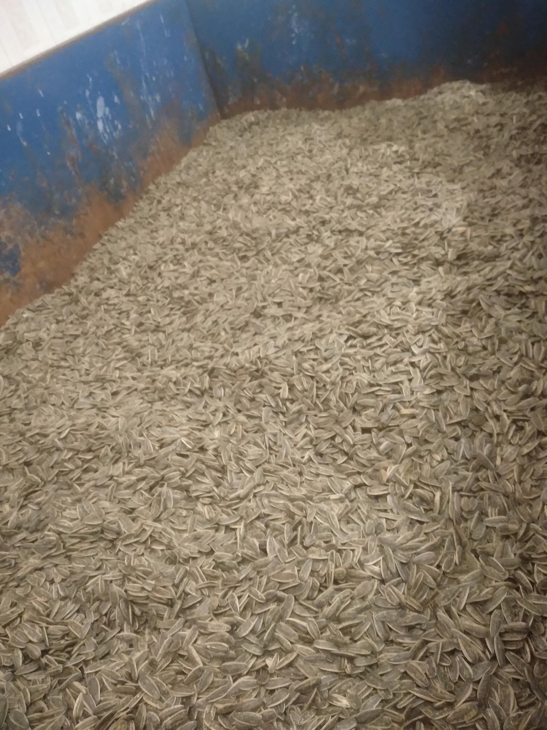 عکس آجیل پزی شاهجهان