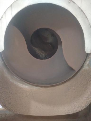 عکس آجیل پزی شاهجهان