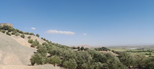 عکس فضای سبز