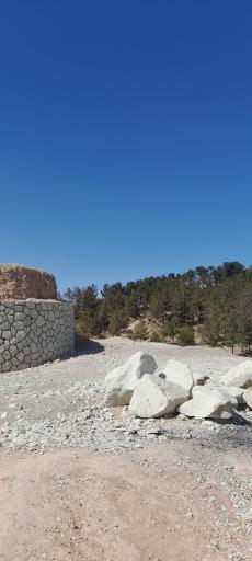 عکس فضای سبز