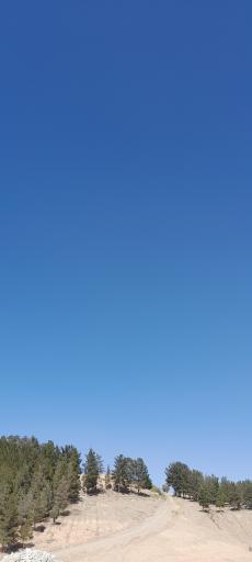 عکس فضای سبز