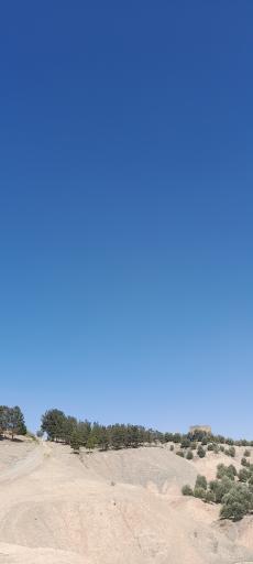 عکس فضای سبز