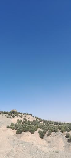 عکس فضای سبز