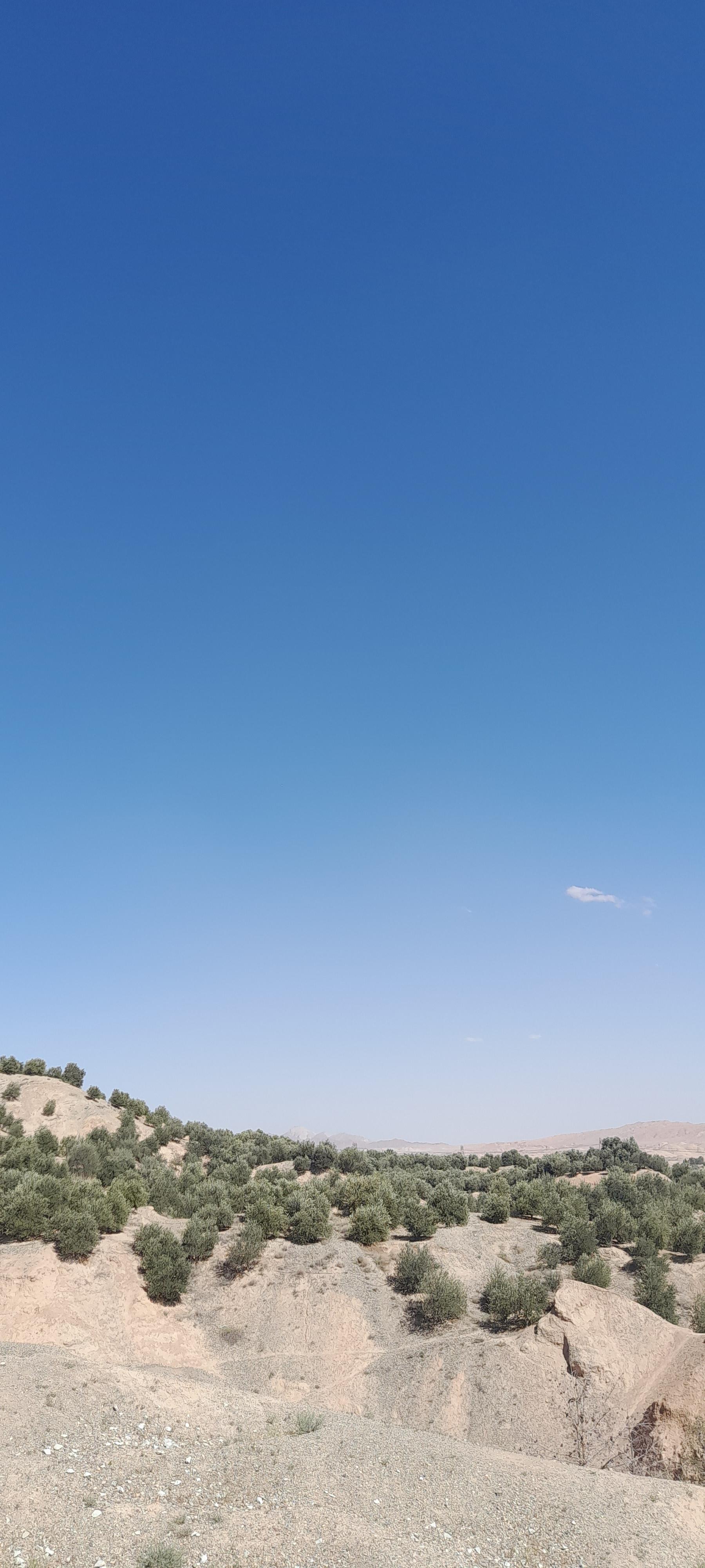 عکس فضای سبز