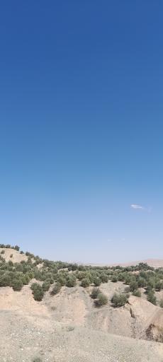 عکس فضای سبز