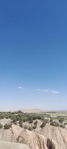 عکس فضای سبز