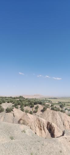 عکس فضای سبز