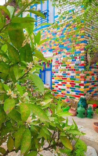 عکس اقامتگاه خانه ابریشم