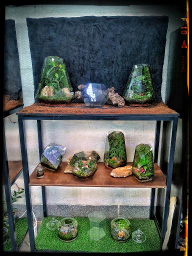 عکس فروشگاه لانوژا