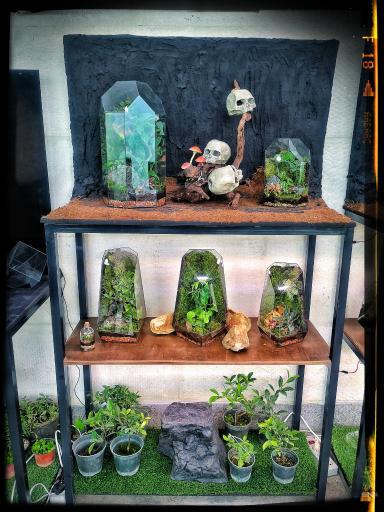 عکس فروشگاه لانوژا