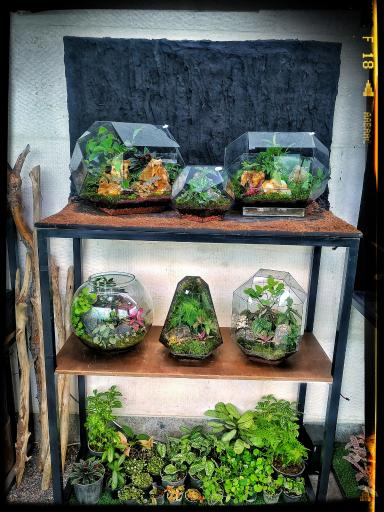 عکس فروشگاه لانوژا