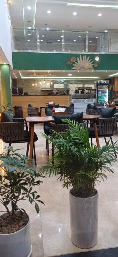 پیتزا ساندویچ ویژند