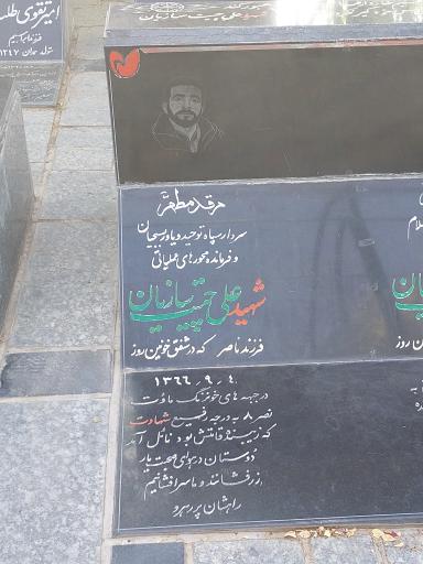 عکس مزار شهید علی چیت‌ سازیان