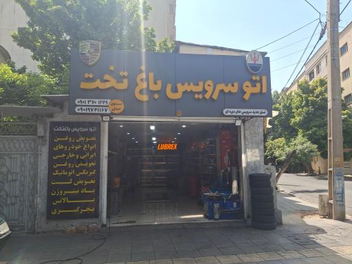 اتو سرویس باغ تخت